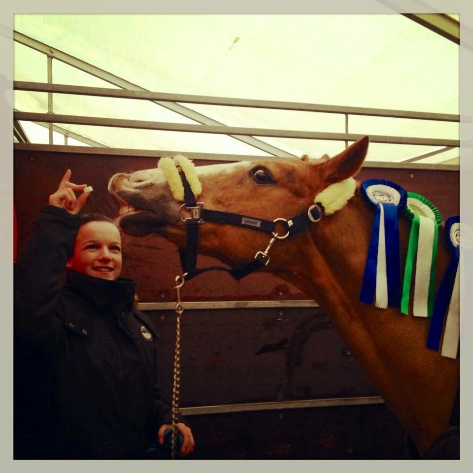 Anden særlig race Charlie A-PONY solgt - Verdens dejligeste pony! billede 18