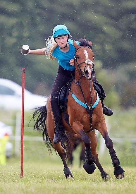 Anden særlig race Shah Little Miss May - DK pony cup 2013 billede 9