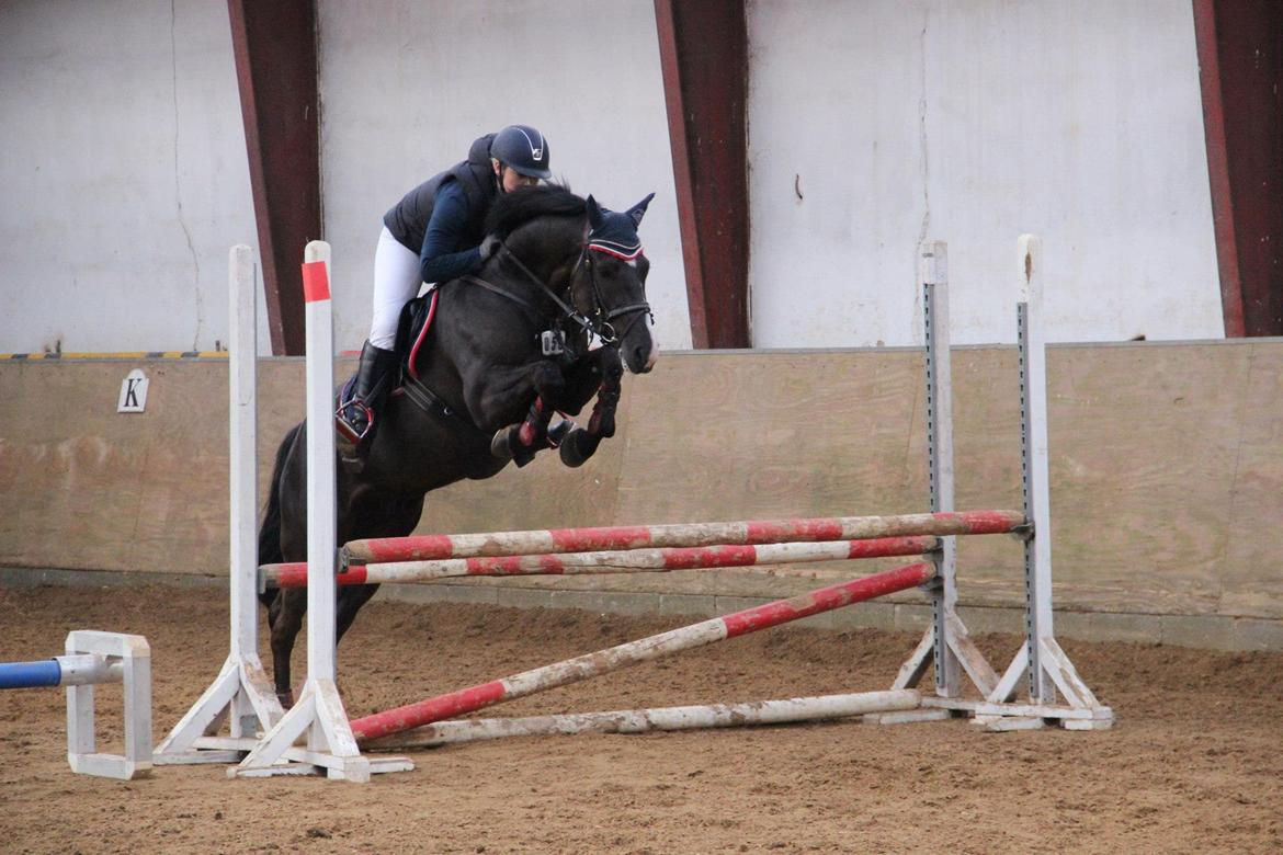 New Forest Vognmandsgården Tordenskjold billede 12