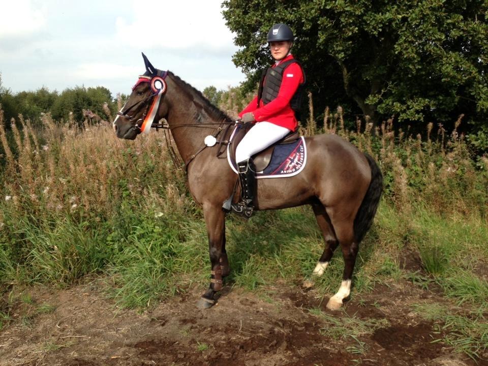 New Forest Vognmandsgården Tordenskjold billede 13