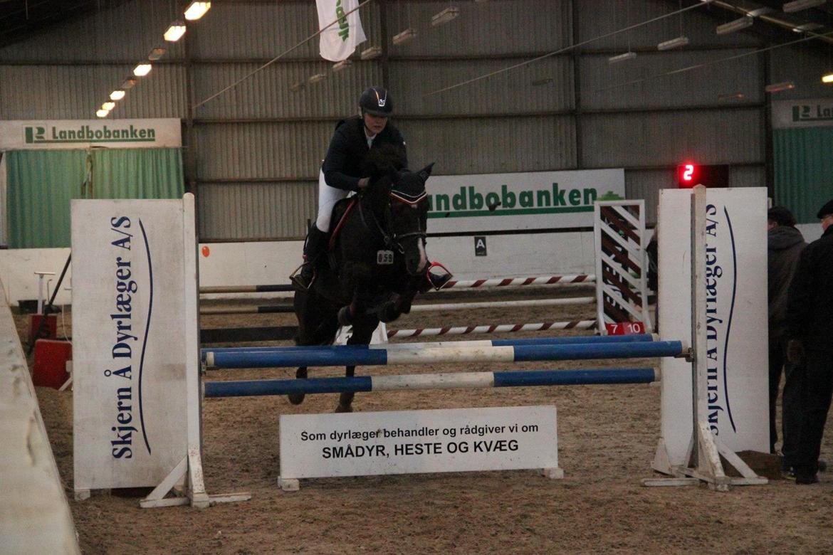 New Forest Vognmandsgården Tordenskjold billede 16