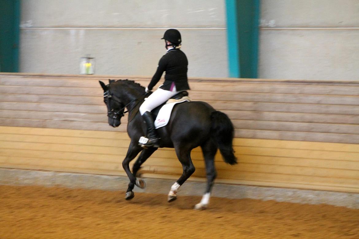 New Forest Vognmandsgården Tordenskjold billede 17