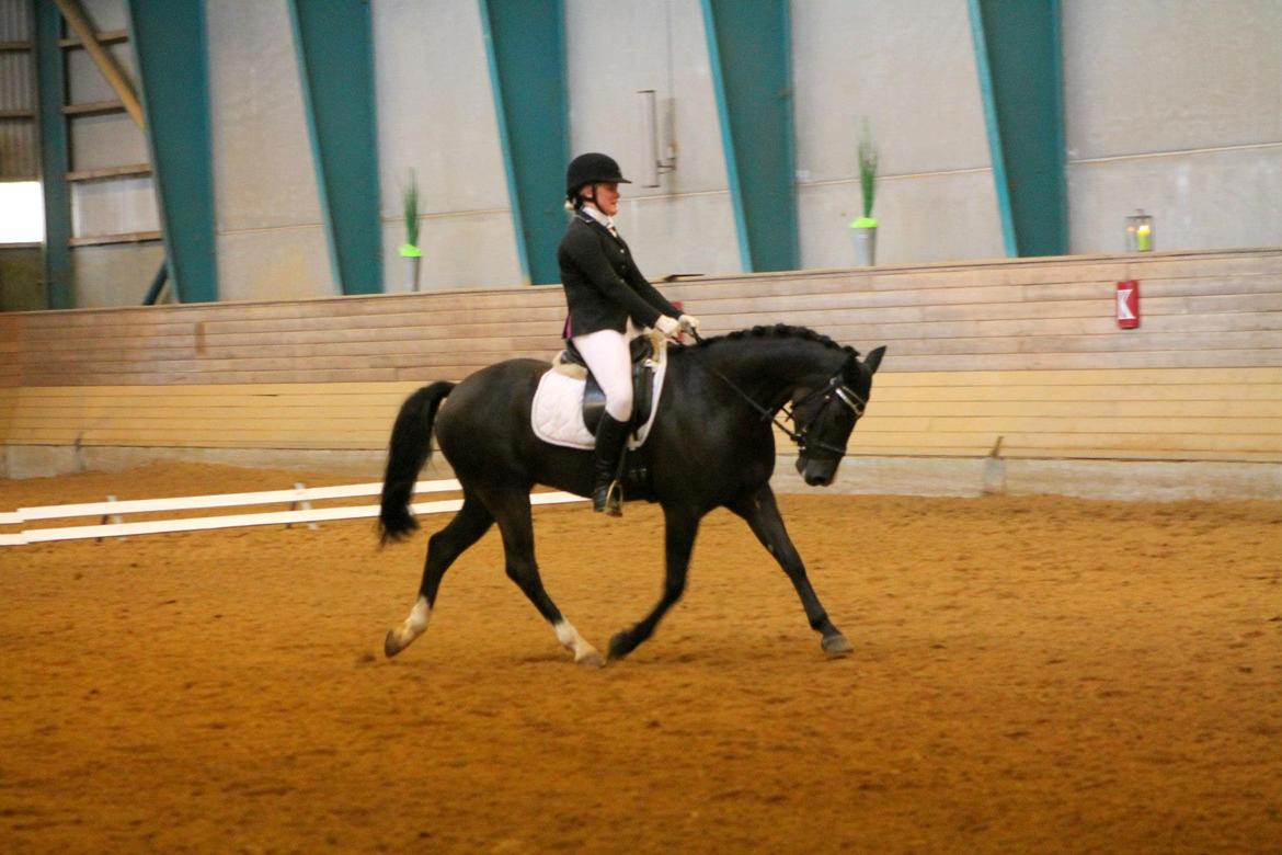 New Forest Vognmandsgården Tordenskjold billede 18