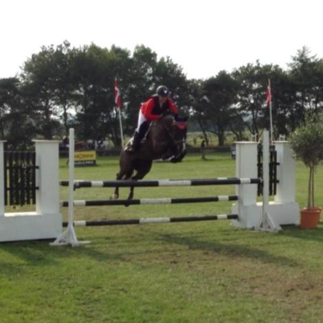 New Forest Vognmandsgården Tordenskjold billede 19