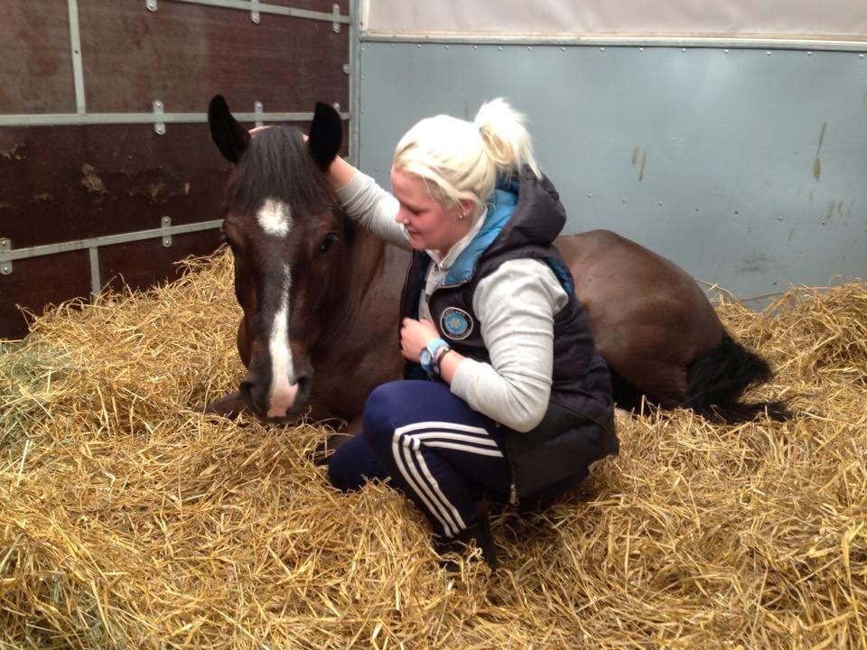 New Forest Vognmandsgården Tordenskjold billede 20