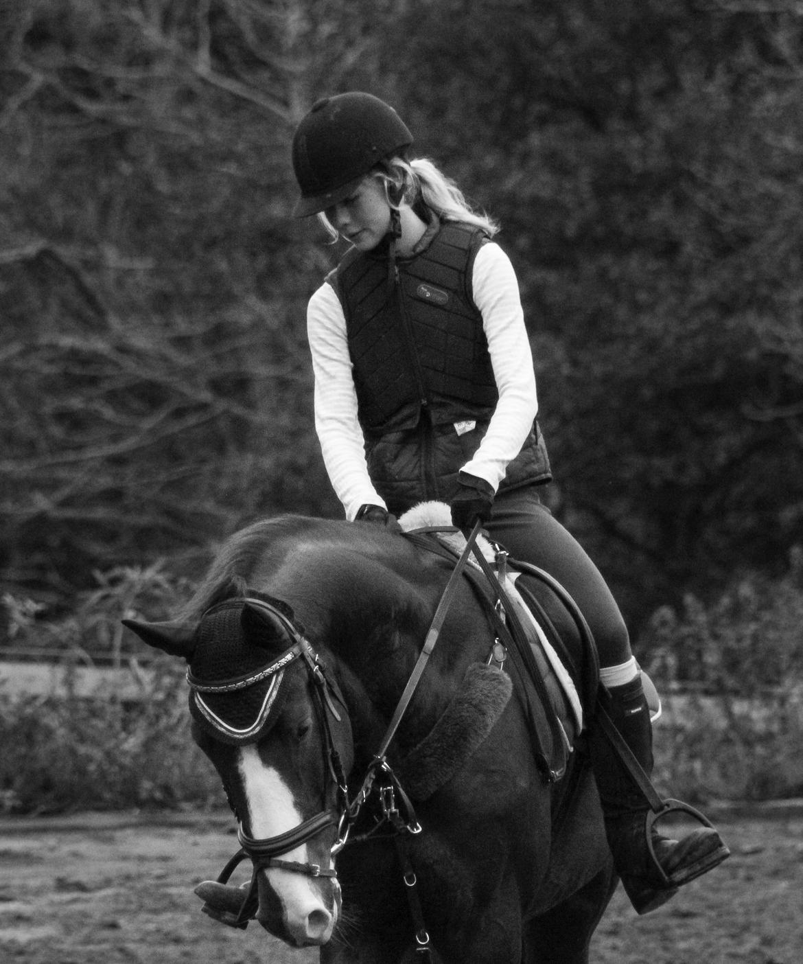 Anden særlig race Bacardi billede 18