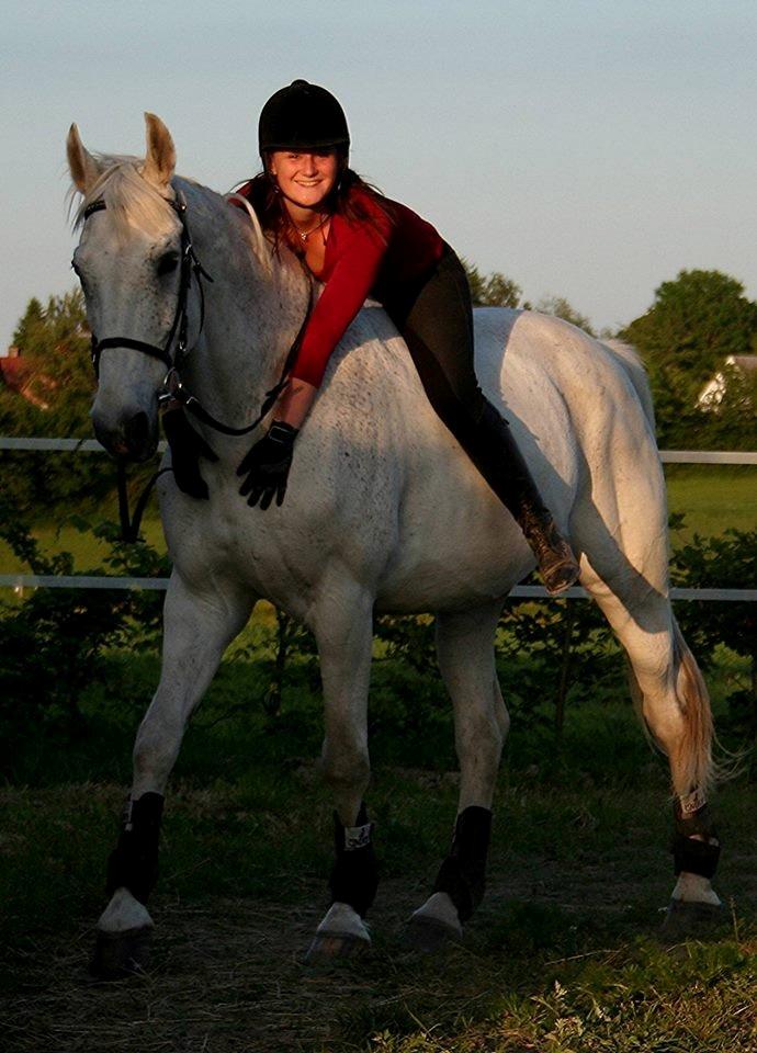 Holstener Magnus billede 9
