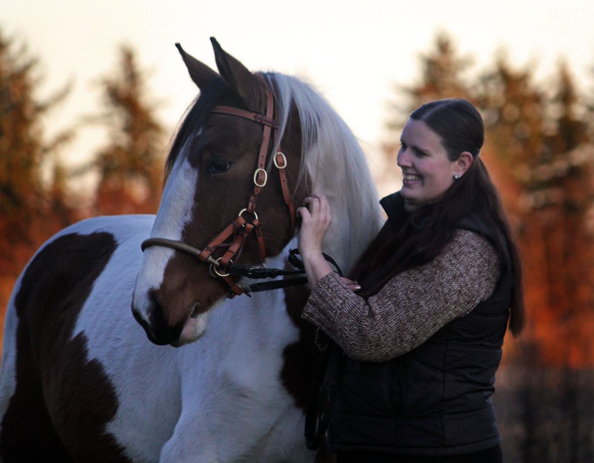 Pinto Love Never Dies (SOLGT) *For evigt elsket <3* - NYT: Lulu og mig nyder efteråret :) billede 7