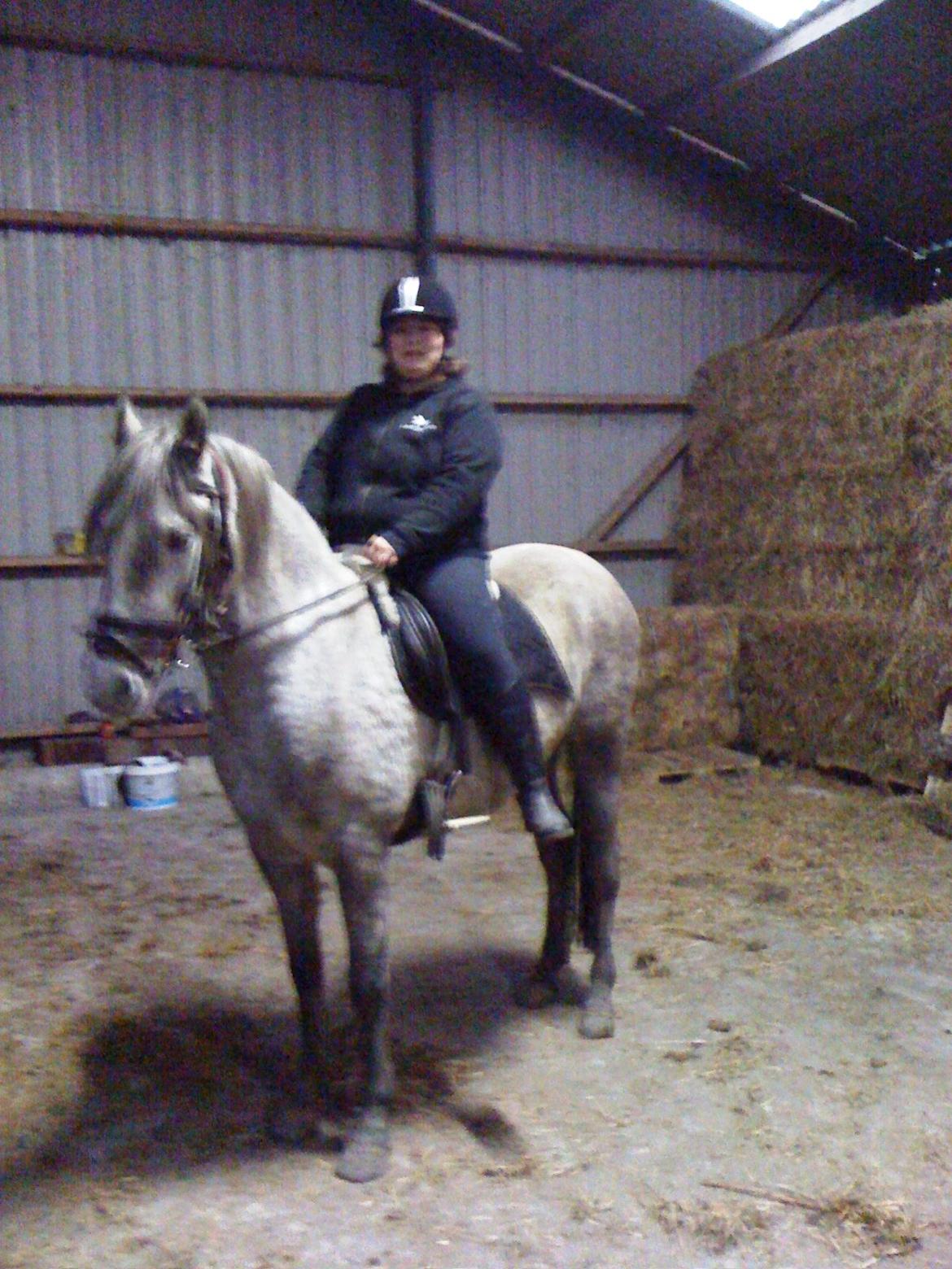 Pura Raza Española Salina DG - Første gang på ryggen af hende. Hun er fantastisk! billede 1