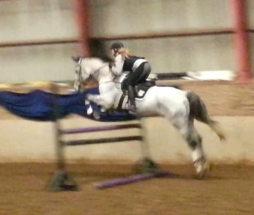 Dansk Varmblod Carneval Fever - Aaarne <3
Dårlig kvalitet da det er fra en video :) billede 12