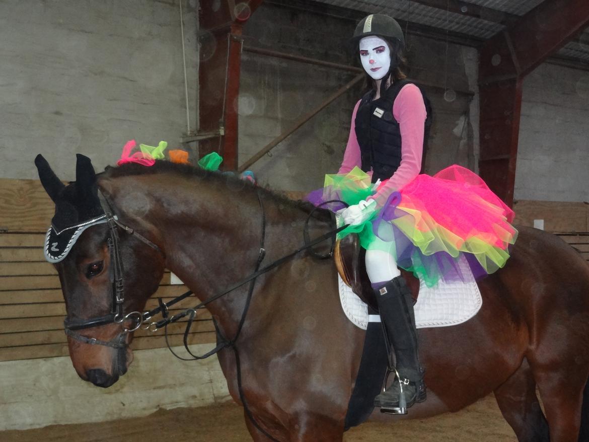 Holstener Mailunds Calua billede 17