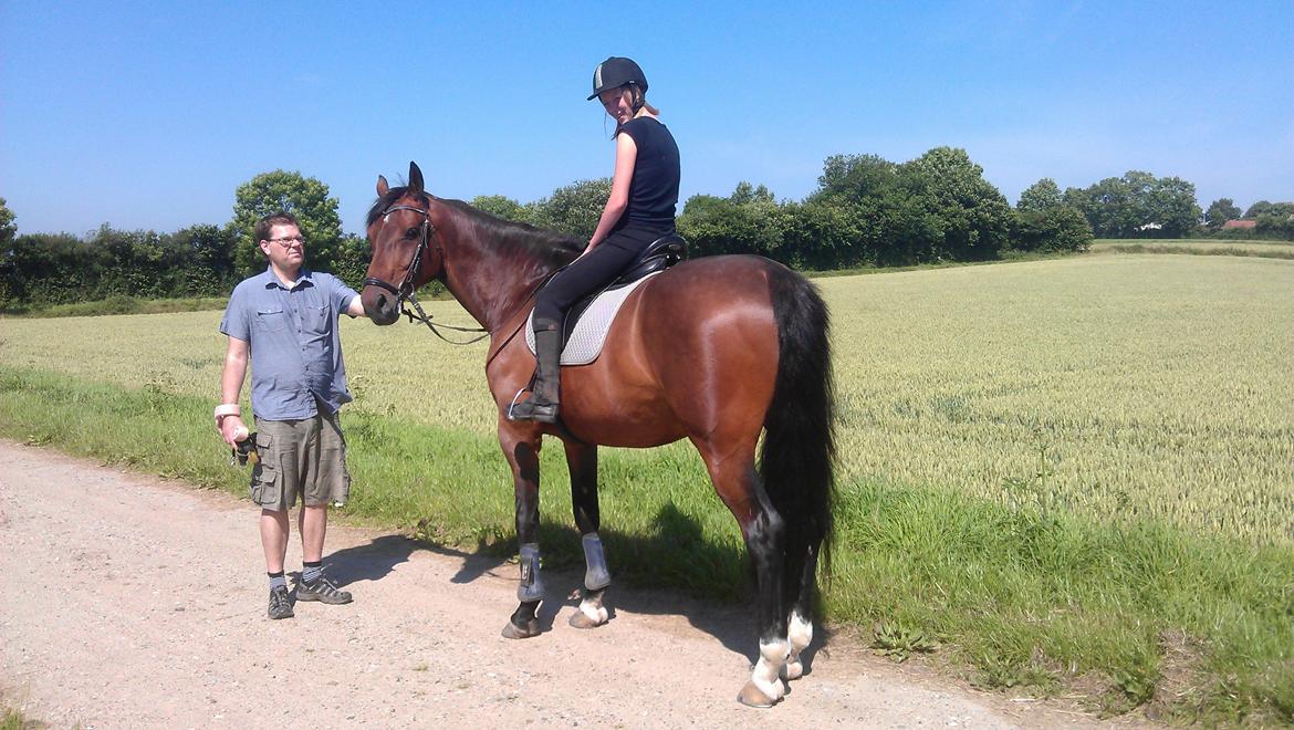 Holstener Mailunds Calua billede 18