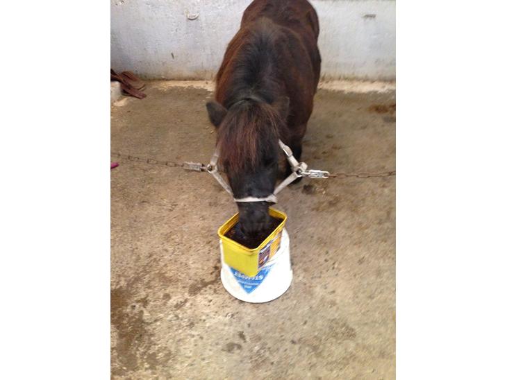 {{currentPhoto.altText}} billede {{currentPhoto.number}}