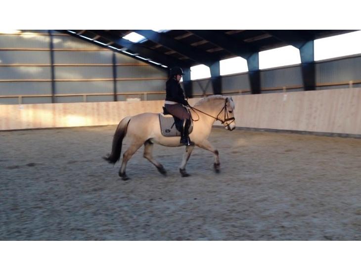 {{currentPhoto.altText}} billede {{currentPhoto.number}}