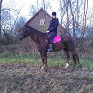 Traver Non Stop T M / Bella