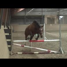 Oldenborg Brusgårds Maricca