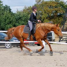 Frederiksborg Frederikke Høghøj