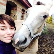 Anden særlig race Fararri