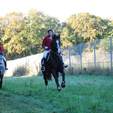Oldenborg Højbodals Miki