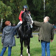 Oldenborg Højbodals Miki