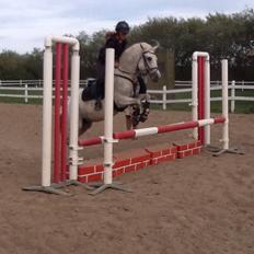 Connemara Damhavens Cayenne 