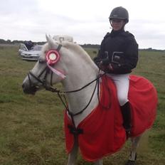 Connemara Damhavens Cayenne 