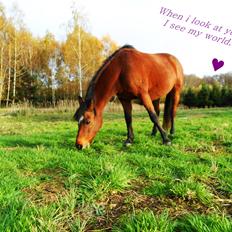 Anden særlig race Tulle "Dullen" <3