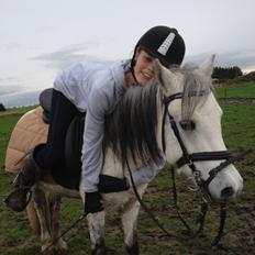 Welsh Mountain (sec A) Stensgaards Kahan.