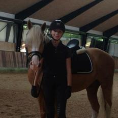 Palomino Berlinetto B-pony!