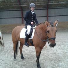 Anden særlig race Brie <3 <3