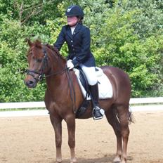 Anden særlig race Nagengaard´s Cesare A-pony <3 -Rides af min søster