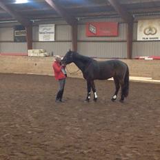 Anden særlig race Dumle<3 