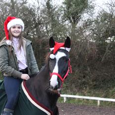 Anden særlig race Bertil