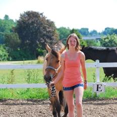 Anden særlig race Arisma