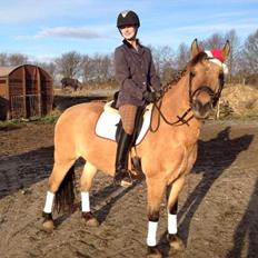 Anden særlig race Arisma