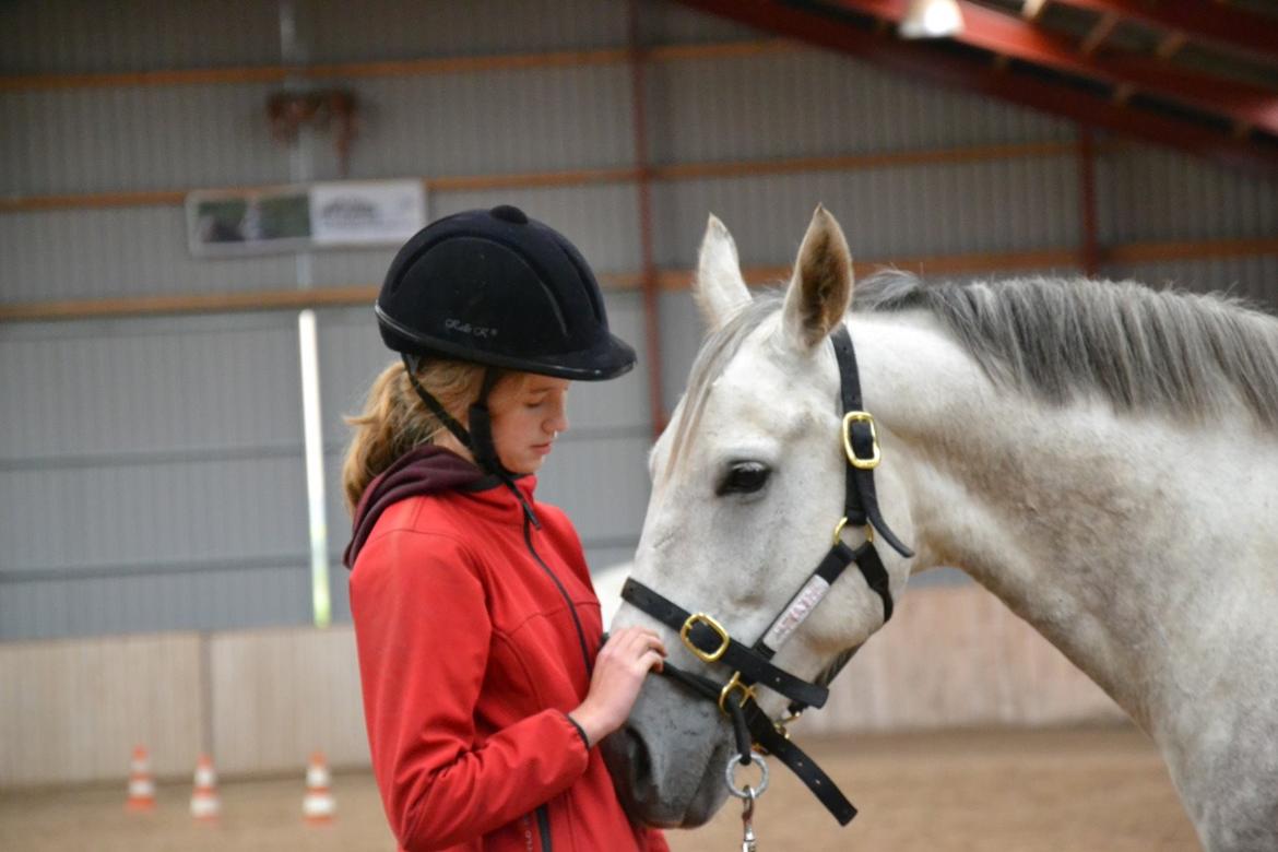 Oldenborg Kahlua - Ridelejr 2012 billede 18