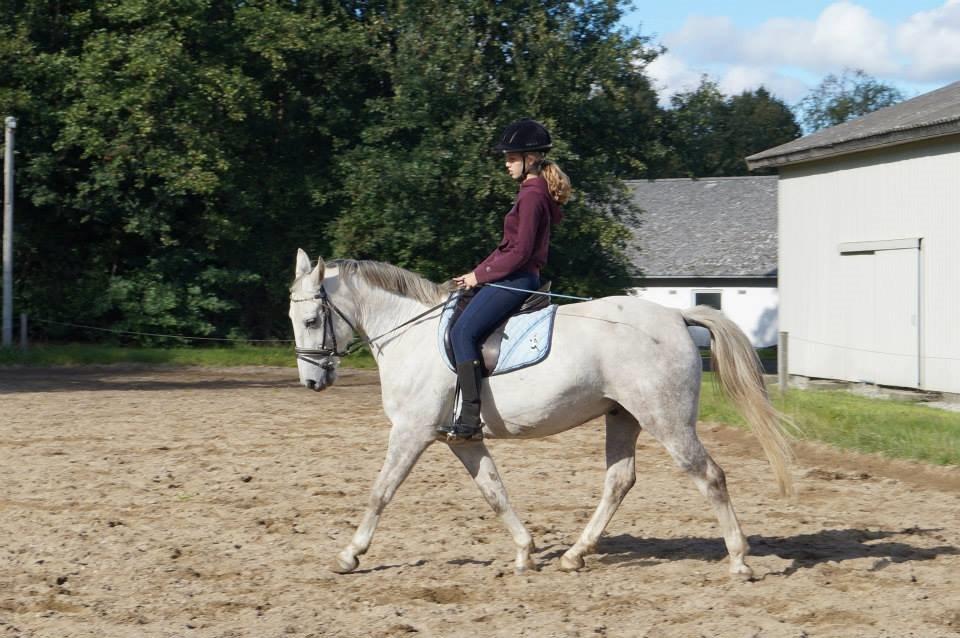 Oldenborg Kahlua - Oktober 2013 billede 12