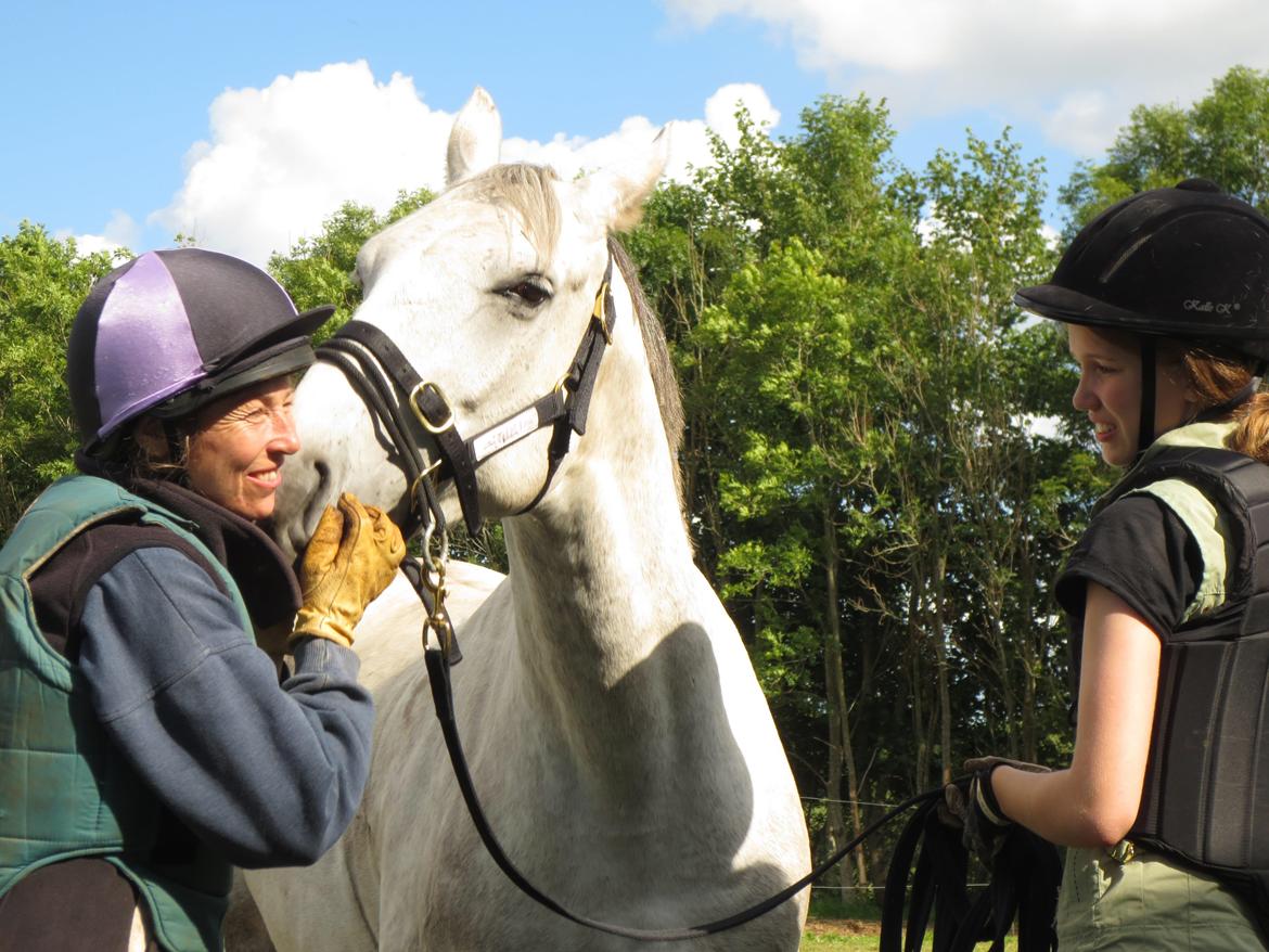 Oldenborg Kahlua - Ridelejr hos Maj-Britt Carter, hende kan han li'!

2013 billede 15
