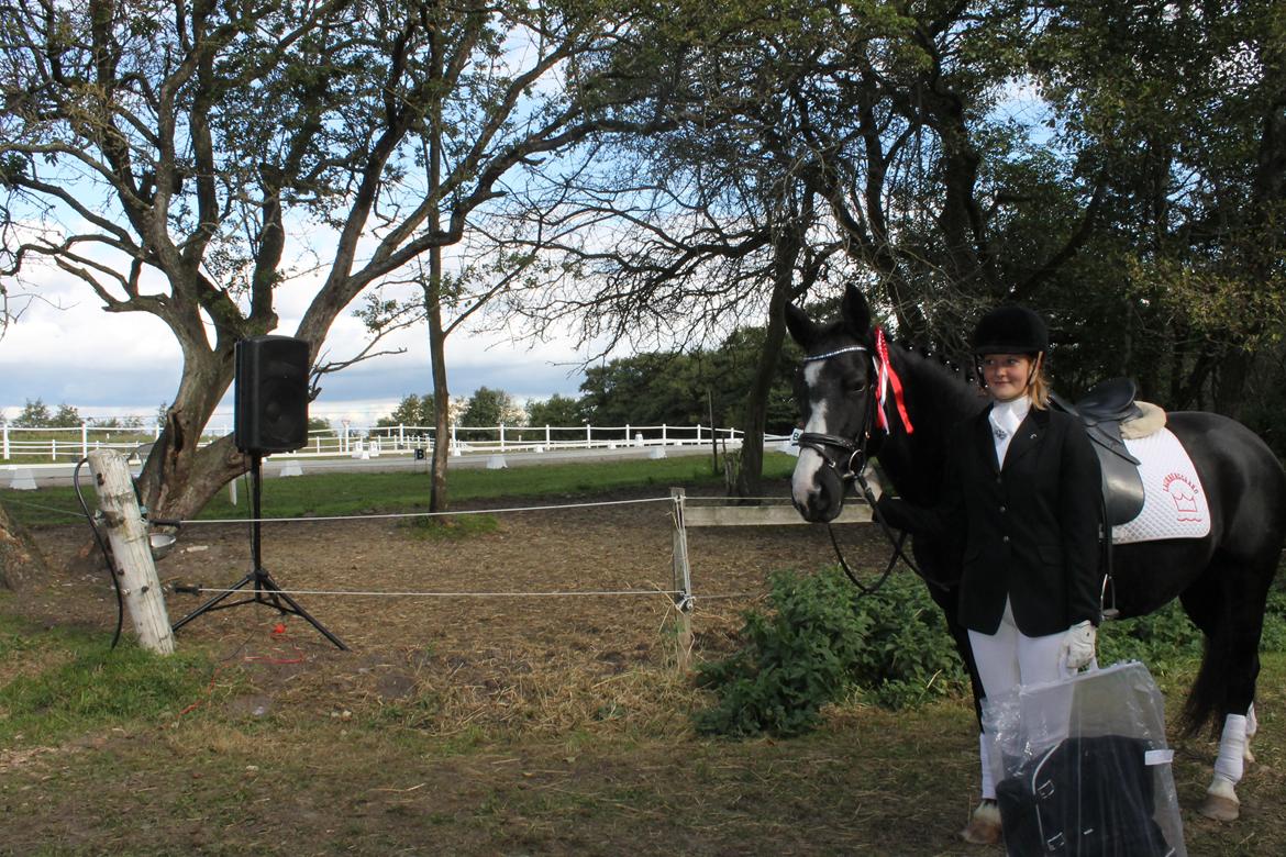 Anden særlig race Anomenens Gipzy Queen - Vandt i en hesteklasse. Meget overlegent. Med 72,5% og den næste havde 64,3% billede 9