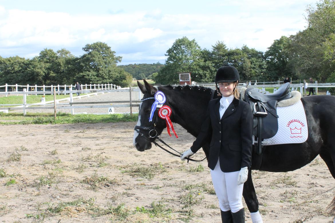 Anden særlig race Anomenens Gipzy Queen - Præmie hesten. Placeret i begge klasser vi startede. Fik en første og en anden plads! :D billede 20