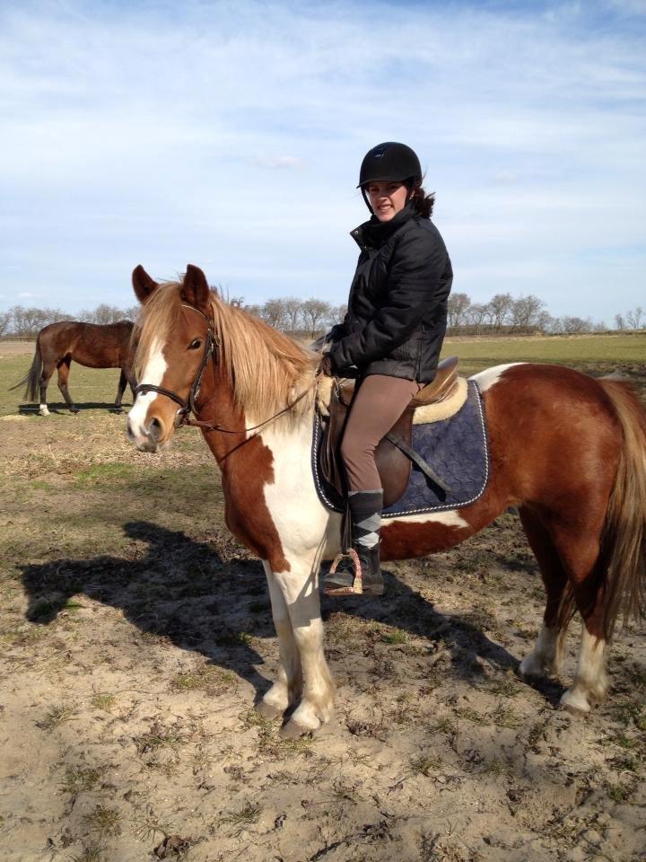 Anden særlig race Shiney *solgt* billede 10