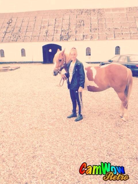 Anden særlig race Shiney *solgt* - Den da hun skulle afleveres til hendes nye ejer! <3 billede 13