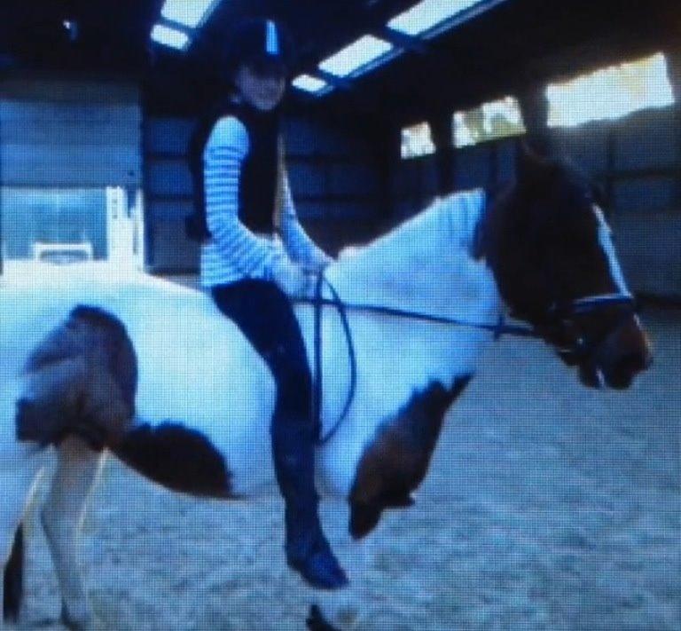 Pinto Gaisha - Undskyld kvaliteten, jeg for snart et bedre kamera, så jeg kan tage nogen bedre billeder!:D billede 14