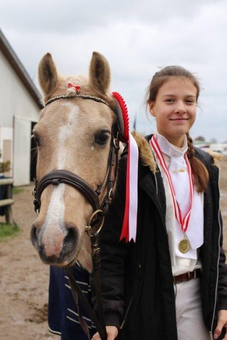 DSP Vejlebro´s Stella  - velkommen til vejlebros stella <3  billede 6