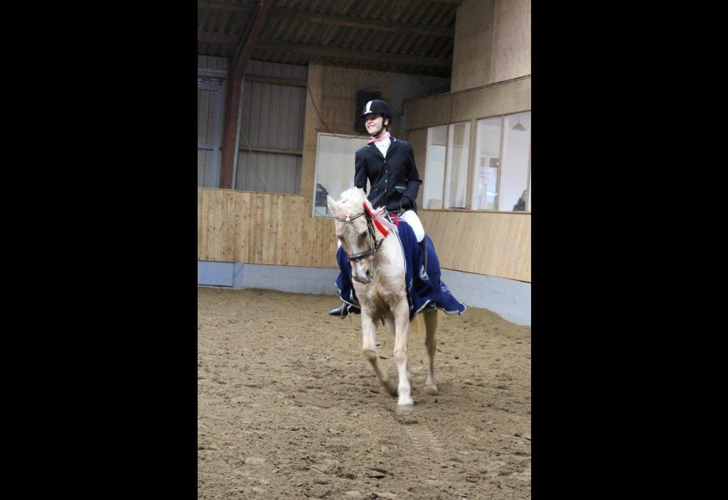 DSP Vejlebro´s Stella  billede 10