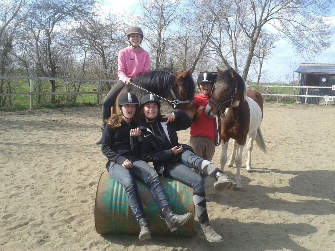 Pinto Kilgast's Assur billede 19