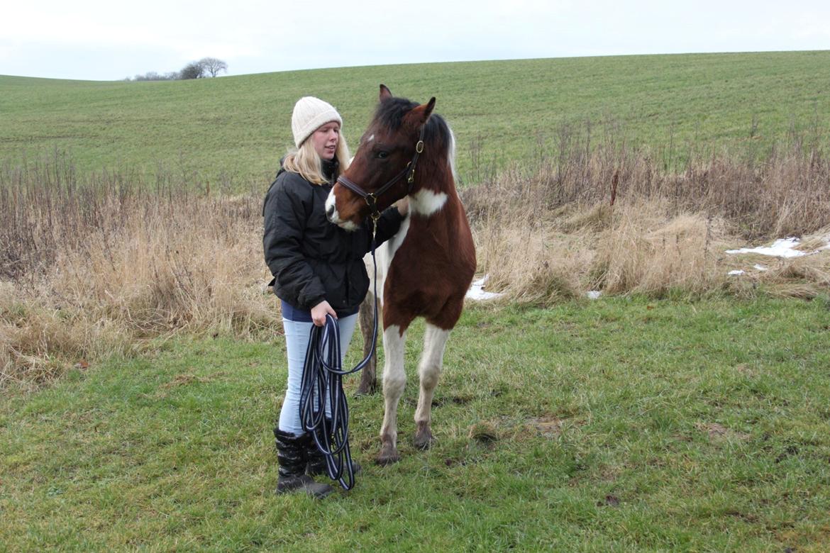 Pinto Kilgast's Assur billede 26