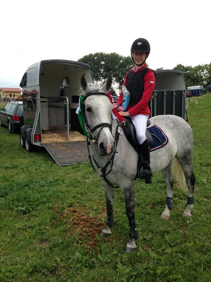 Hollandsk Sportspony Spice Girll billede 24