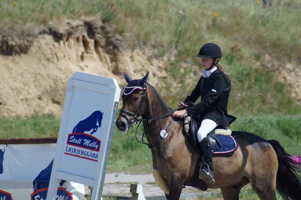 New Forest Elmerhøjs Bastian billede 4