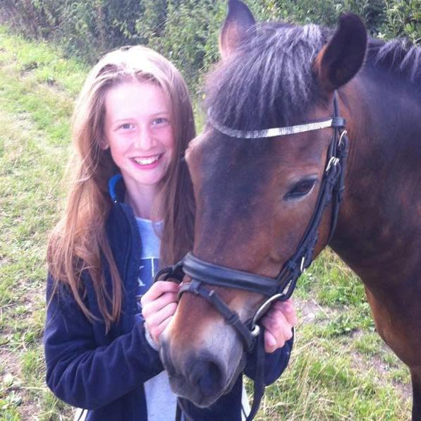 New Forest Elmerhøjs Bastian billede 5